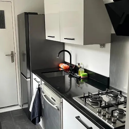 Large Family House Alkmaar